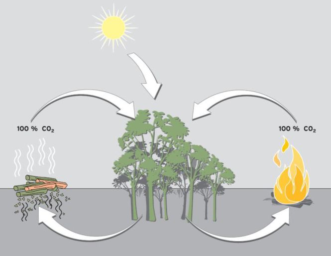 Miért környezetbarát megoldás a fával történő fűtés?